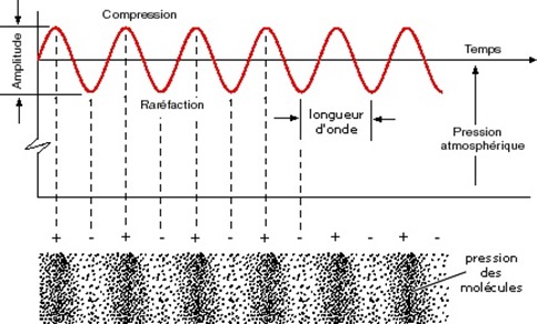 Forme d'onde sonore, amplitude et longueur d'onde